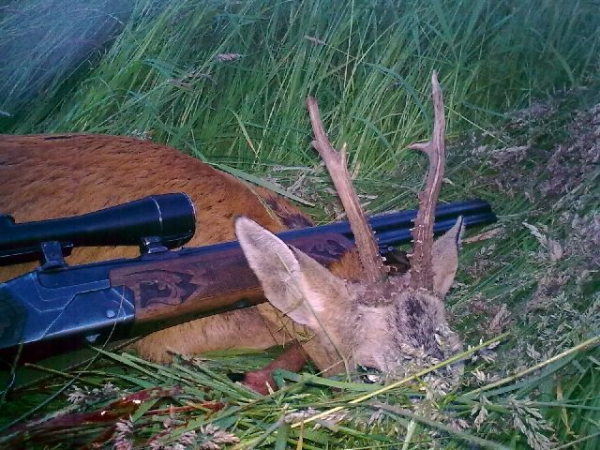 Roe-bucks Hunting  11.05-30.09